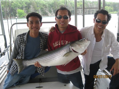 Nice Striped Bass